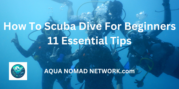11 Essential Scuba Diving Tips for Beginners Featured Image