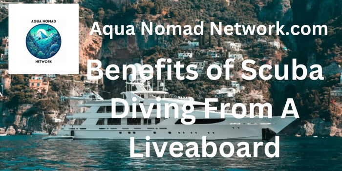 Benefits of Scuba Diving From a Liveaboard